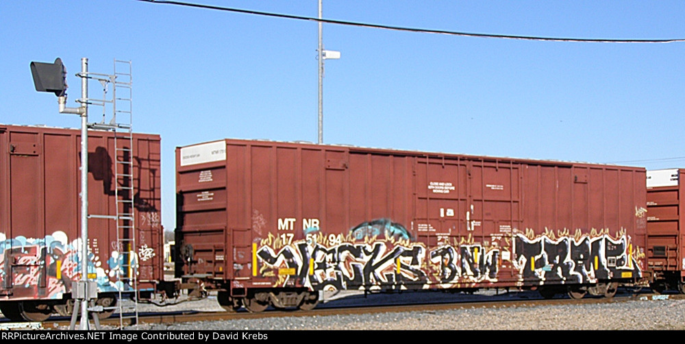 MTNR 175194